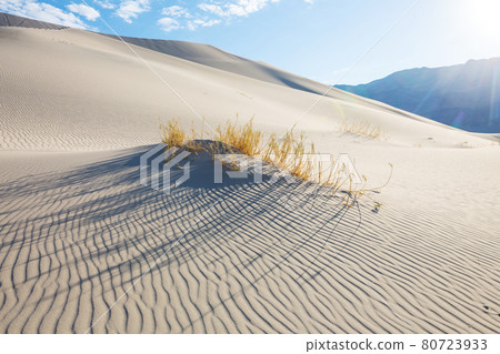 Sand desert Sand desert 80723933