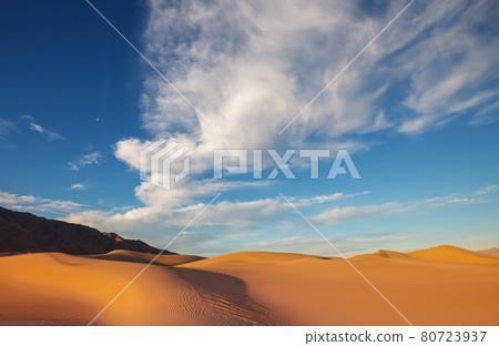 Sand desert Sand desert 80723937
