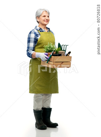 smiling senior woman with garden tools in box smiling senior woman with garden tools in box 80726818