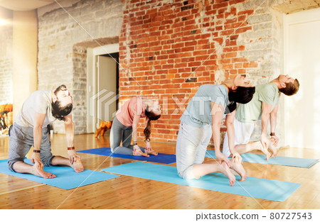 group of people doing camel pose at yoga studio group of people doing camel pose at yoga studio 80727543