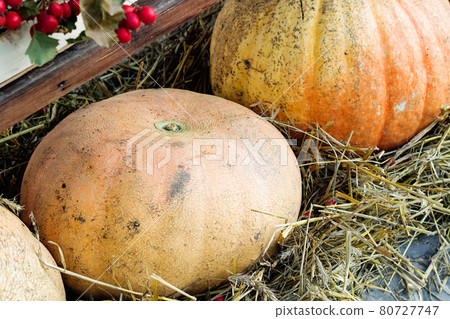 Pumpkins, fruits and vegetables in a basket 80727747