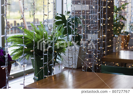 Wooden table by window and large plant on windowsill Wooden table by window and large plant on windowsill 80727767