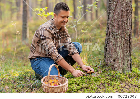 happy man with basket picking mushrooms in forest happy man with basket picking mushrooms in forest 80728008