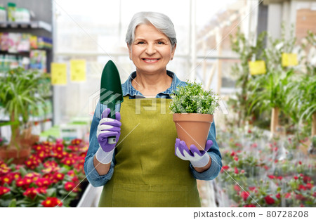 old woman in garden apron with flower and trowel 80728208