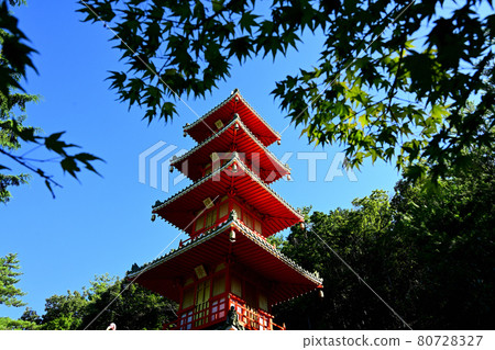 七寶寺藍楓五層塔 七寶寺藍楓五層塔 80728327