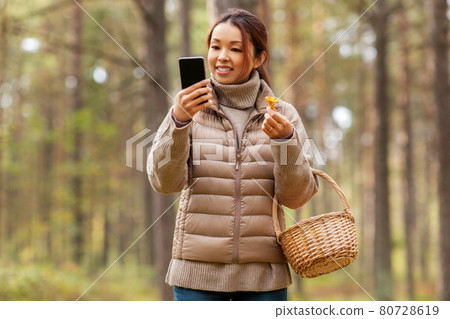 asian woman using smartphone to identify mushroom 80728619
