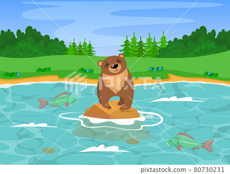 Wild grizzly bear fishing in river Wild grizzly bear fishing in river 80730231