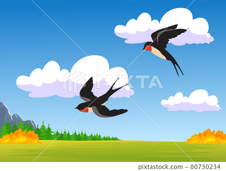 Two cartoon swallows flying over autumn field Two cartoon swallows flying over autumn field 80730234