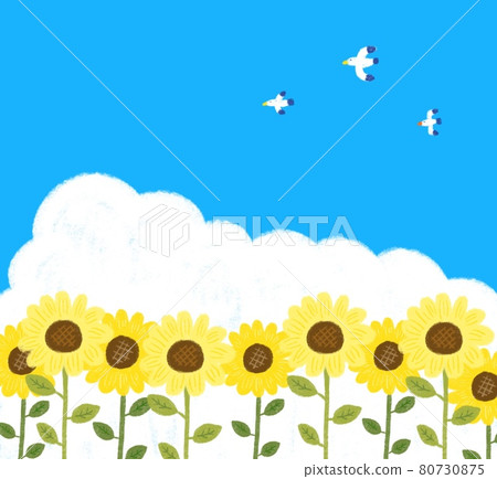 Sunflower field and seagull Sunflower field and seagull 80730875