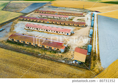 Aerial view of modern pig farm Aerial view of modern pig farm 80731352
