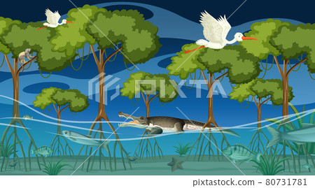 Animals live in mangrove forest at night scene 80731781