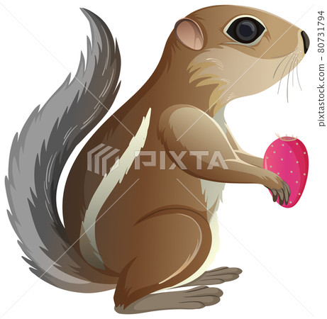 Antelope squirrel holding cactus in cartoon style isolated on white background Antelope squirrel holding cactus in cartoon style isolated on white background 80731794