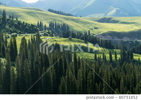 Mountains with a cloud day. Mountains with a cloud day. 80731852