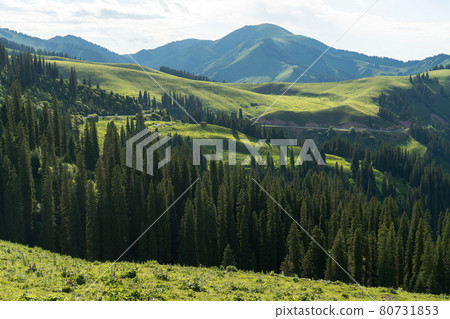 Mountains with a cloud day. Mountains with a cloud day. 80731853