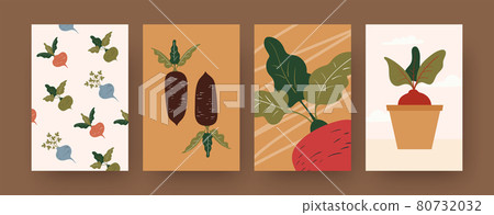 Set of contemporary art posters with root vegetables 80732032