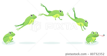 Animated process of frogs leaps sequence 80732352