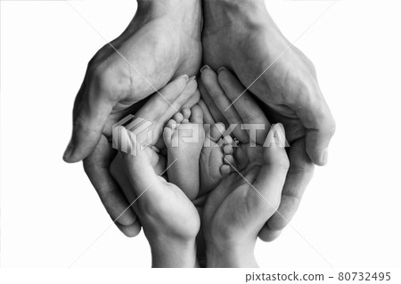 Parent holding newborn feet, closeup. Black and white photo. Parent holding newborn feet, closeup. Black and white photo. 80732495
