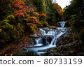 Autumn leaves and waterfall 80733159