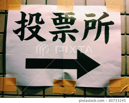 選舉民意調查 選舉民意調查 80733245