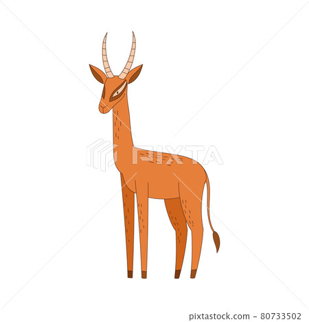 Antelope with Horns in Standing Pose Vector Illustration Antelope with Horns in Standing Pose Vector Illustration 80733502