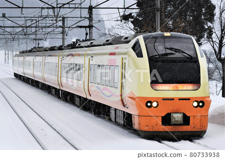 E653系列急速“十日町雪祭”② E653系列急速“十日町雪祭”② 80733938
