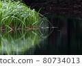 在水邊景觀 80734013