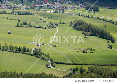 Fields Fields 80734308