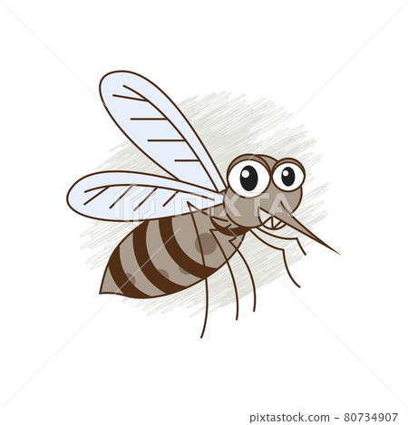 Insect mosquito icon Template vector 80734907