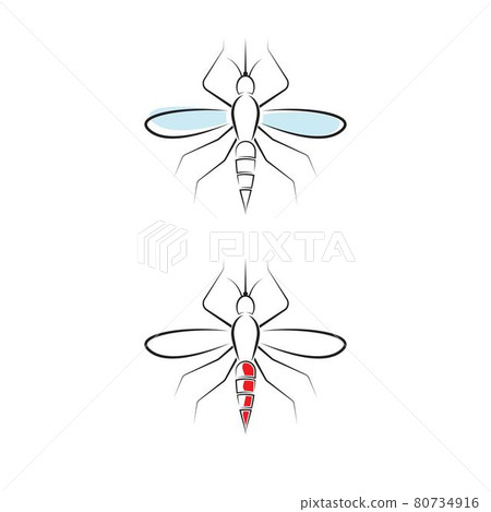 Insect mosquito icon Template vector 80734916