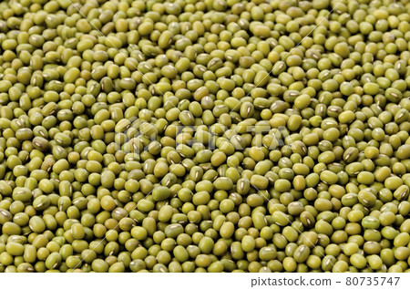 綠豆、八重洲、包子豆、綠豆 80735747