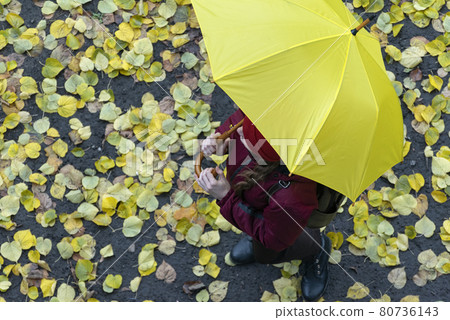 Girl walks through the autumn leaves with yellow umbrella. Walking in rainy autumn weather. Top view 80736143
