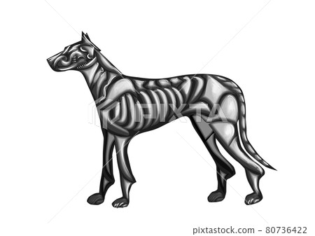 abstract wolf 80736422