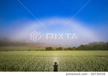 [Biei-cho, Hokkaido] White rainbow over the fields June 80736436