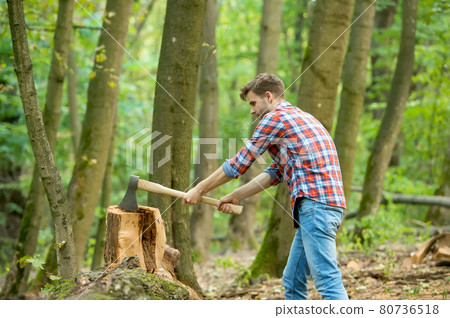 just one hit. chopping and splitting firewood with axe. just one hit. chopping and splitting firewood with axe. 80736518