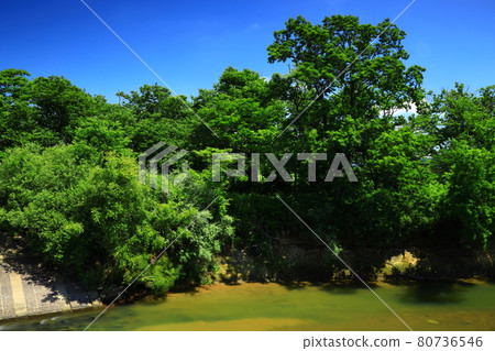 岩手縣花卷市夏季英國海岸 80736546