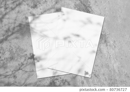 Two empty white rectangle poster diagonal mockups with tree shadow Two empty white rectangle poster diagonal mockups with tree shadow 80736727