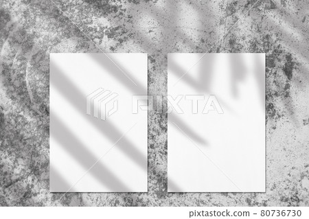 Two empty white vertical rectangle poster mockups with soft palm leaves shadow 80736730