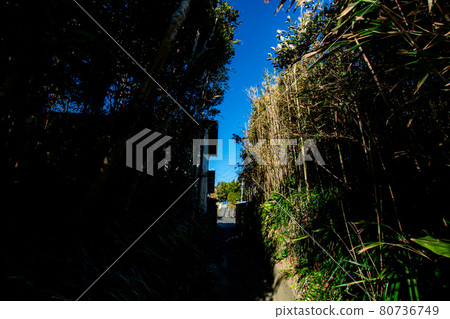 房子的後路 80736749