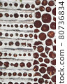 Antique Rustic Cordwood Log Cabin House Wall Background Antique Rustic Cordwood Log Cabin House Wall Background 80736834