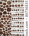 Antique Rustic Cordwood Log Cabin House Wall Background Antique Rustic Cordwood Log Cabin House Wall Background 80736835
