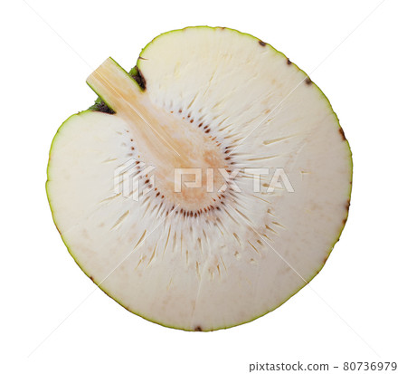 Breadfruit isolated on white background 80736979