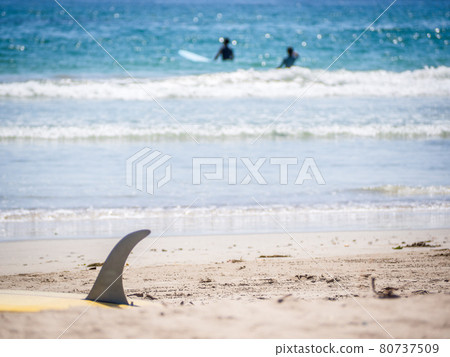 Surfers and surfboards 80737509