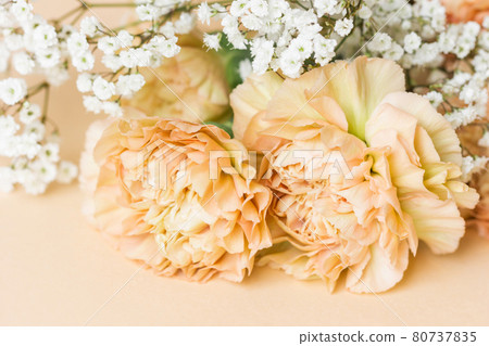Beige carnation flowers bouquet on light beige background. 80737835