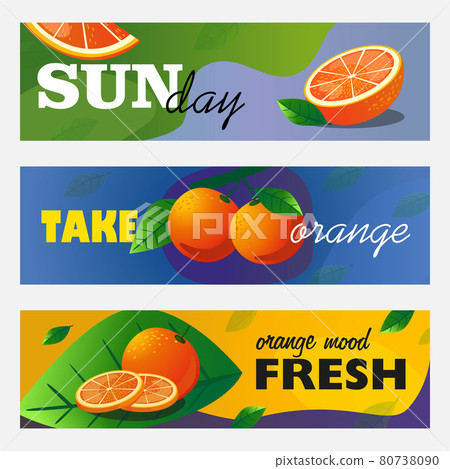 Citrus banners set 80738090