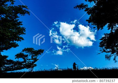 拍攝在京都府八幡市瀨割亭捕蟲的兄弟們 80739237