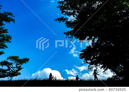 Photographing brothers catching insects at Sewaritei, Yawata City, Kyoto Prefecture 80739505