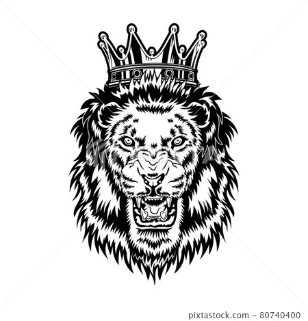 Lion king vector illustration 80740400