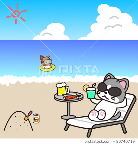 Cats enjoying the beach in the summer Cats enjoying the beach in the summer 80740719