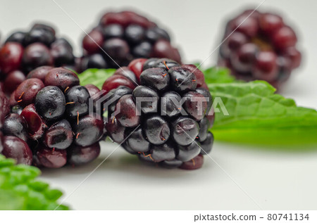 Closeup of a set of blackberries with mint, fresh and ripe forest fruits Closeup of a set of blackberries with mint, fresh and ripe forest fruits 80741134