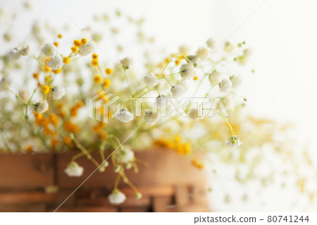 spring background. white hypsophila flowers on light background 80741244